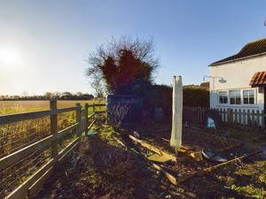 Rear garden- click for photo gallery